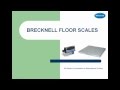 Salter Brecknell DCSB Pegasus Floor Scales With 200E