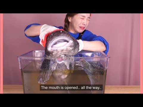 Ssoyoung fighting with her food for 11minutes straight 🦞
