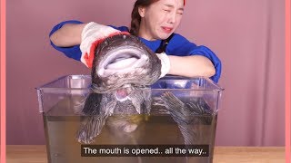 Ssoyoung fighting with her food for 11minutes straight 🦞