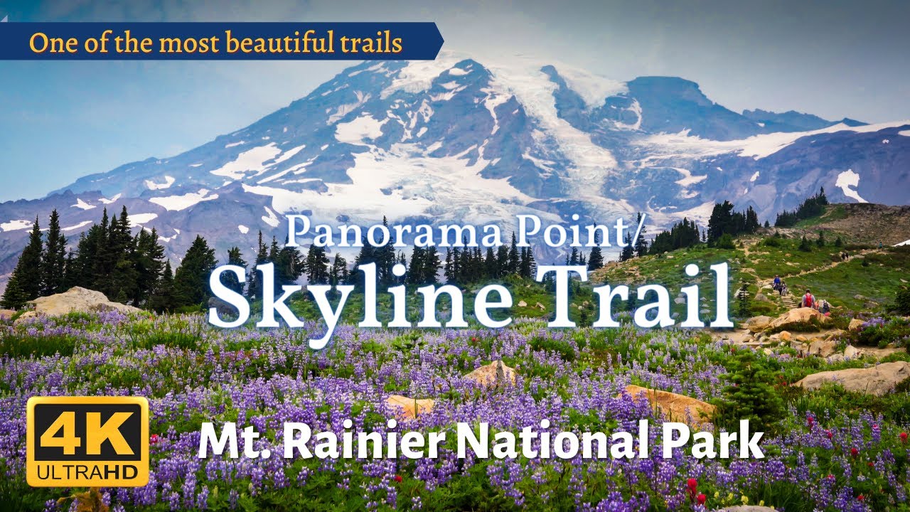 Mt Rainier National Park Panorama Point Skyline Trail Wildflowers マウントレーニア国立公園 スカイライントレイル Youtube