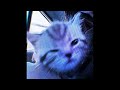(free) prettifun + che + misogi + ginseng type beat - "ayaayaa"