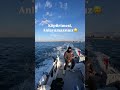 Anlatılmaz bir tutku 🎣🚤#fishing #antalya #fish #balık #manavgat #carpfishing #manavgat #