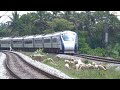 Live Train accident ! VANDE BHARAT EXPRESS Run Over Poor Sheep Crossing a Railway Line at Hi-speed 🚄 Mp3 Song