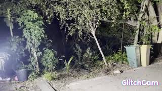 สว างแสบตาก บสปอร ตไลท บาร ท ส ?