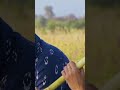 Pariya Surkhi Bindi Gurnam Bhular 4k Punjabi Status Pariya Surkhi Bindi Gurnam Bhular 4k Punjabi Status