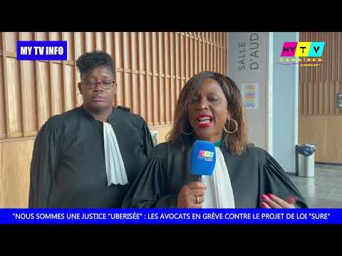 "Nous sommes une justice "ubérisée" : les avocats en grève contre le projet de loi "Sûreté"