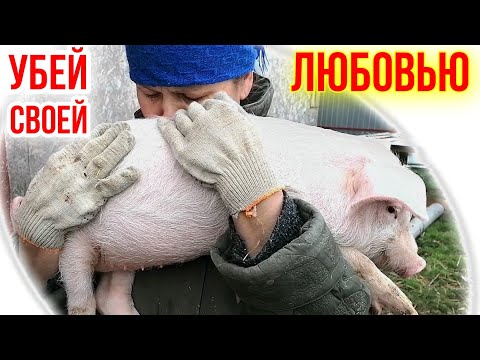 ТРАГЕДИЯ В ХОЗЯЙСТВЕ | ЧЕМ НЕЛЬЗЯ КОРМИТЬ СВИНЕЙ | НАСЛЕДИЕ