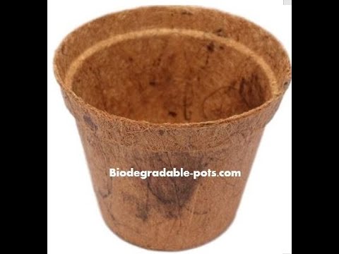 Biodegradable Herb Pots (biodegradable-pots.com)