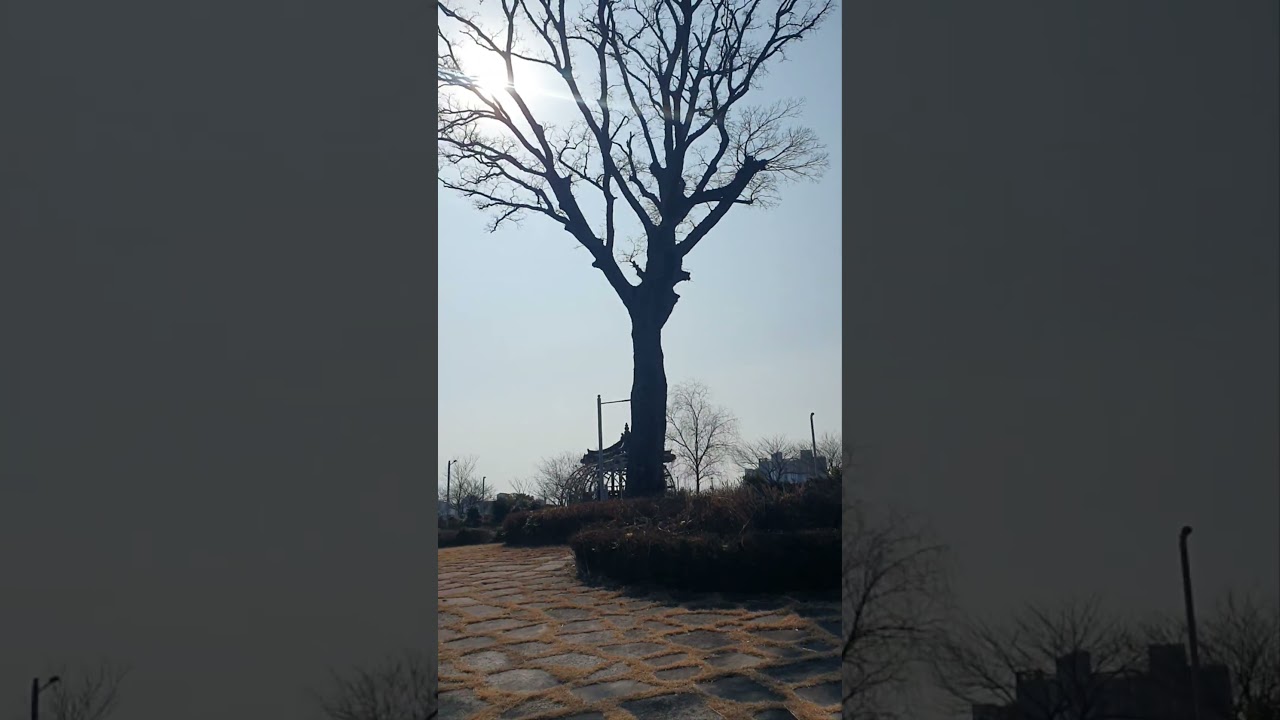 나와 함께 가시렵니까 #이찬원
