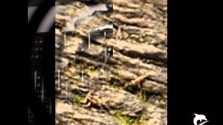 Dumb Music Inc- The Mechanic