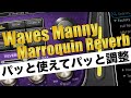 リバーブの難しさを解消！WAVES Manny Marroquin Reverbの魅力を解説します