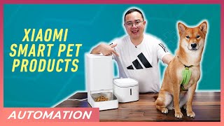 Xiaomi's Smart Pet Products | Automation Ep. 6