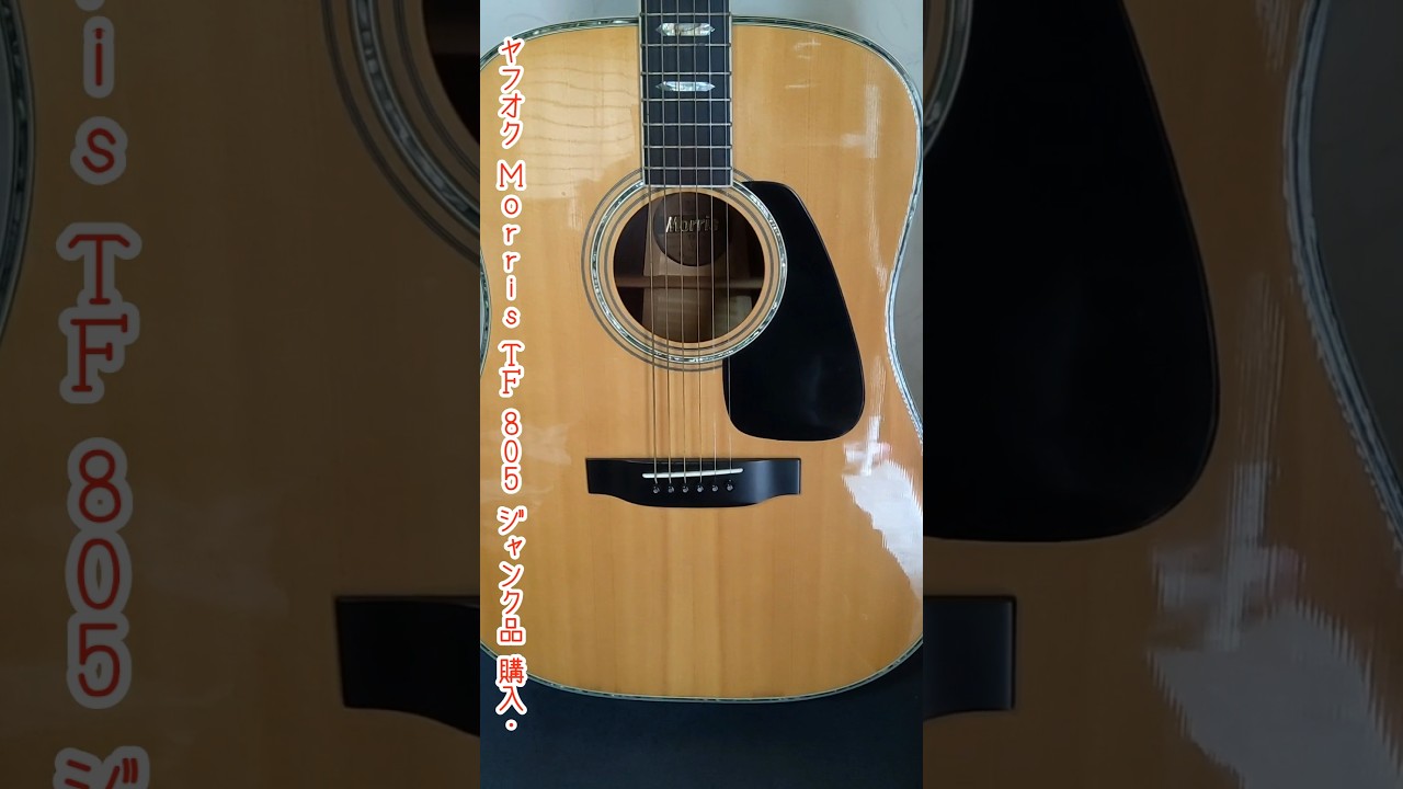 Morris TF-805 ジャパンビンテージ 【公式通販】