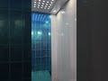 Gorgeous LiFt 🛗 with Simple Decoration