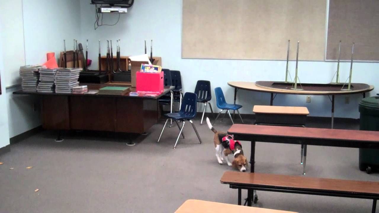 DAX NACSW NW2 Mock Trial Interior Search YouTube dax-nacsw-nw2-mock-trial-interior-search-youtube