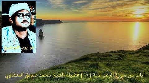 ولله يسجد من في السماوات والأرض طوعا وكرها وظلالهم بالغدو والأصال _ سورة الرعد { ١٥ } الشيخ المنشاوي