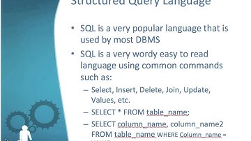 Chapter 5 Database Processing