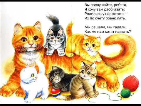 Котята , Михалков С.