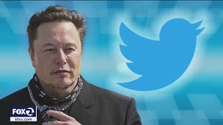 Elon Musk backs out of Twitter deal