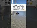 最高すぎ🤣#恋愛 #両思い #片思い #片思いあるある #恋愛あるある #恋愛相談 #恋愛アドバイス #恋愛心理 #恋愛占い #浮気 #相性占い