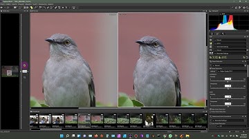 Capture NX-D Nikon Photography RAW developer