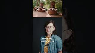 Pkgd 100K Subscribers