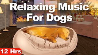 Music For Dogs To Go To Sleep (12 Hour Winter Nap)