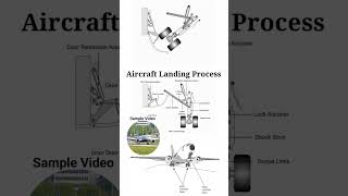 How aircraft landing gear function working principal / plane landing #automobile #airport #aircraft