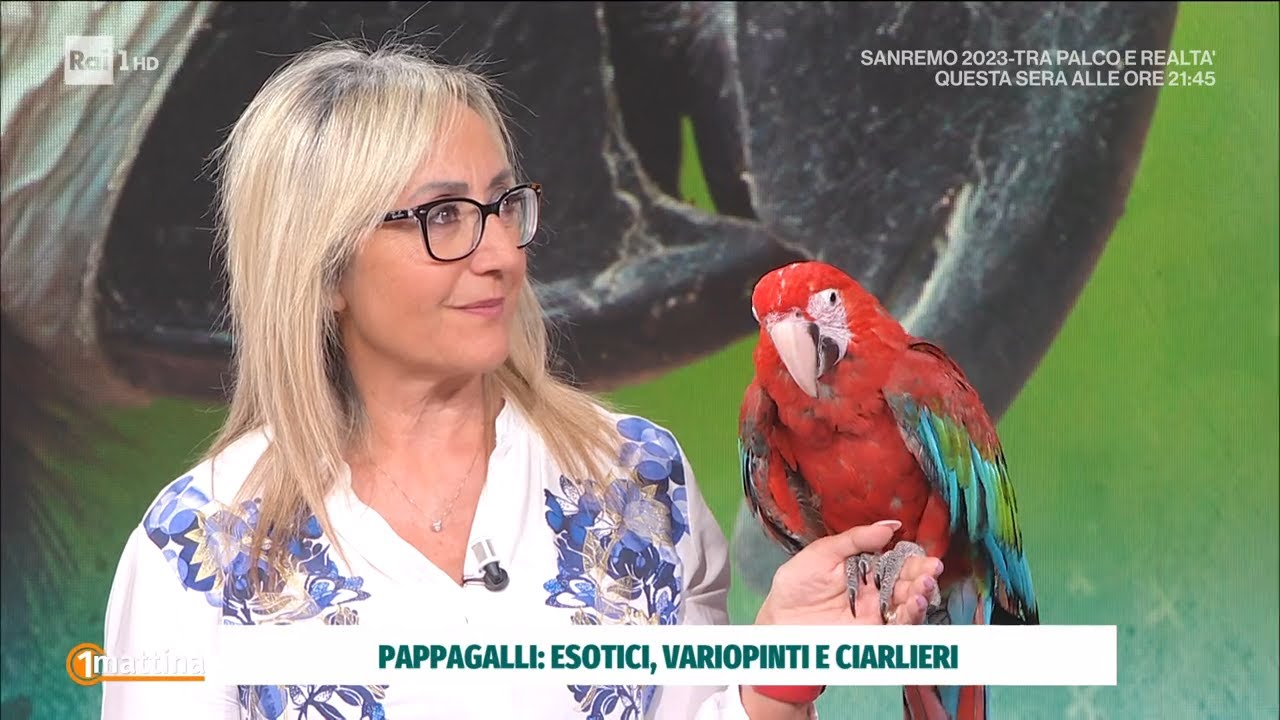 Come convivere con un pappagallo - Unomattina 10/04/2023