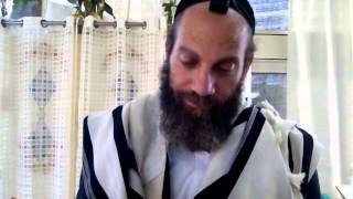הרב אברהם לוי- דרכן של תלמידי חכמים אמיתיים לרצות זה את זה