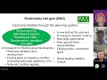 BNG for Beginners: Pathways to Planning Graduates Learning and Development programme
