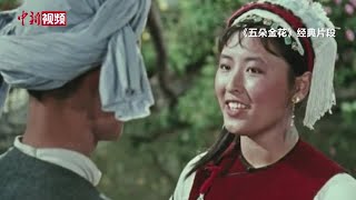 小新的Vlog盘点新中国电影史上那些经典女性角色