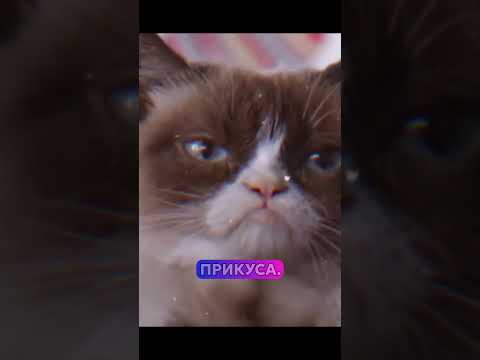Возвращение исчезнувших.Все части - Документальный фильм