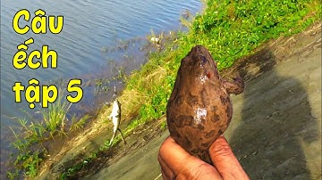 05. Câu ếch mùa nước nổi ở khu vực Đồng Tháp