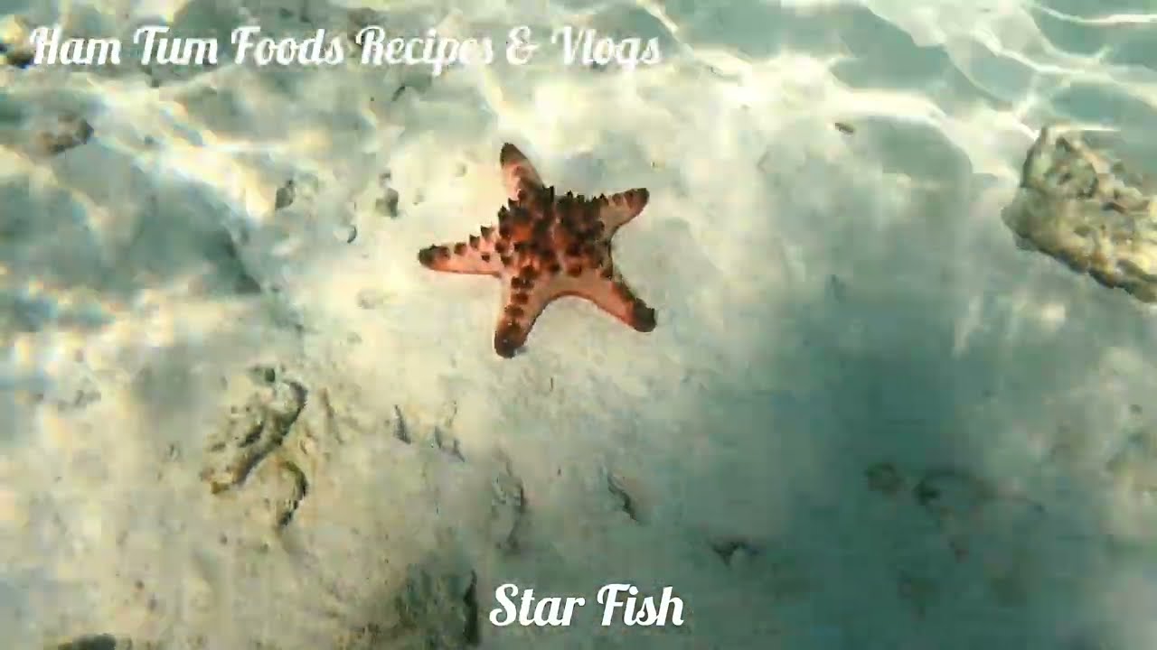 Pulau Pom Pom |A Very Beautiful Place In Semporna Pom Pom Island | Pom Pom Island Sabah 2022