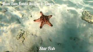 Pulau Pom Pom |A Very Beautiful Place In Semporna Pom Pom Island | Pom Pom Island Sabah 2022