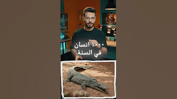اخطر 10 حيوانات ف العالم 