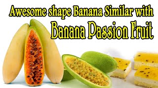 Awesome shape Banana similar with Banana passion fruit | Amazing Fruit