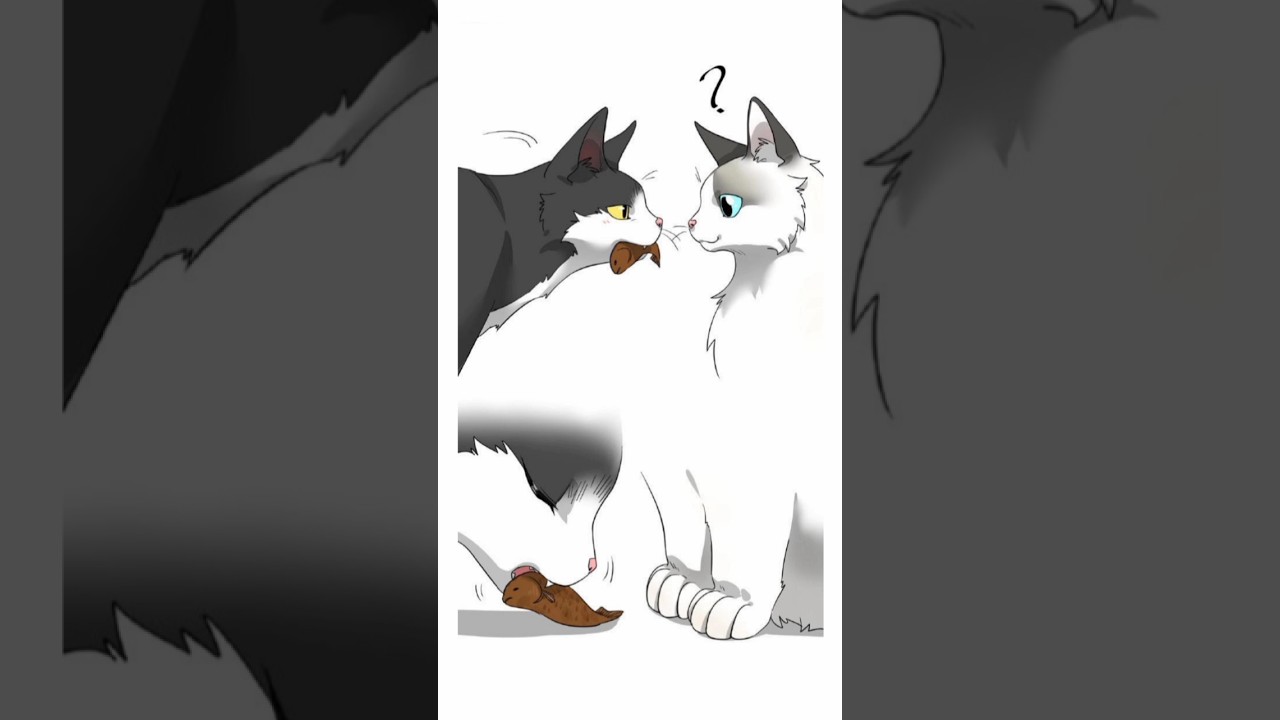 when a stray cat and a house cat fall in love 