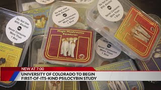 University of Colorado begins 1st psilocybin study