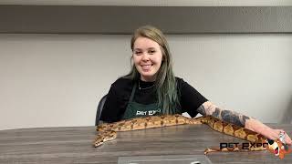 Snakes with Samantha featuring Saturn the Boa