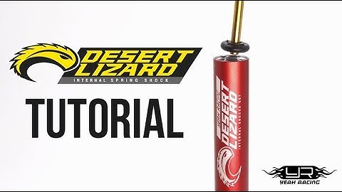 Yeah Racing Desert Lizard RC Crawler Damper Rebuild Video Tutorial