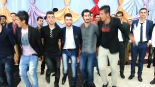 Dawata kurdi (soran)