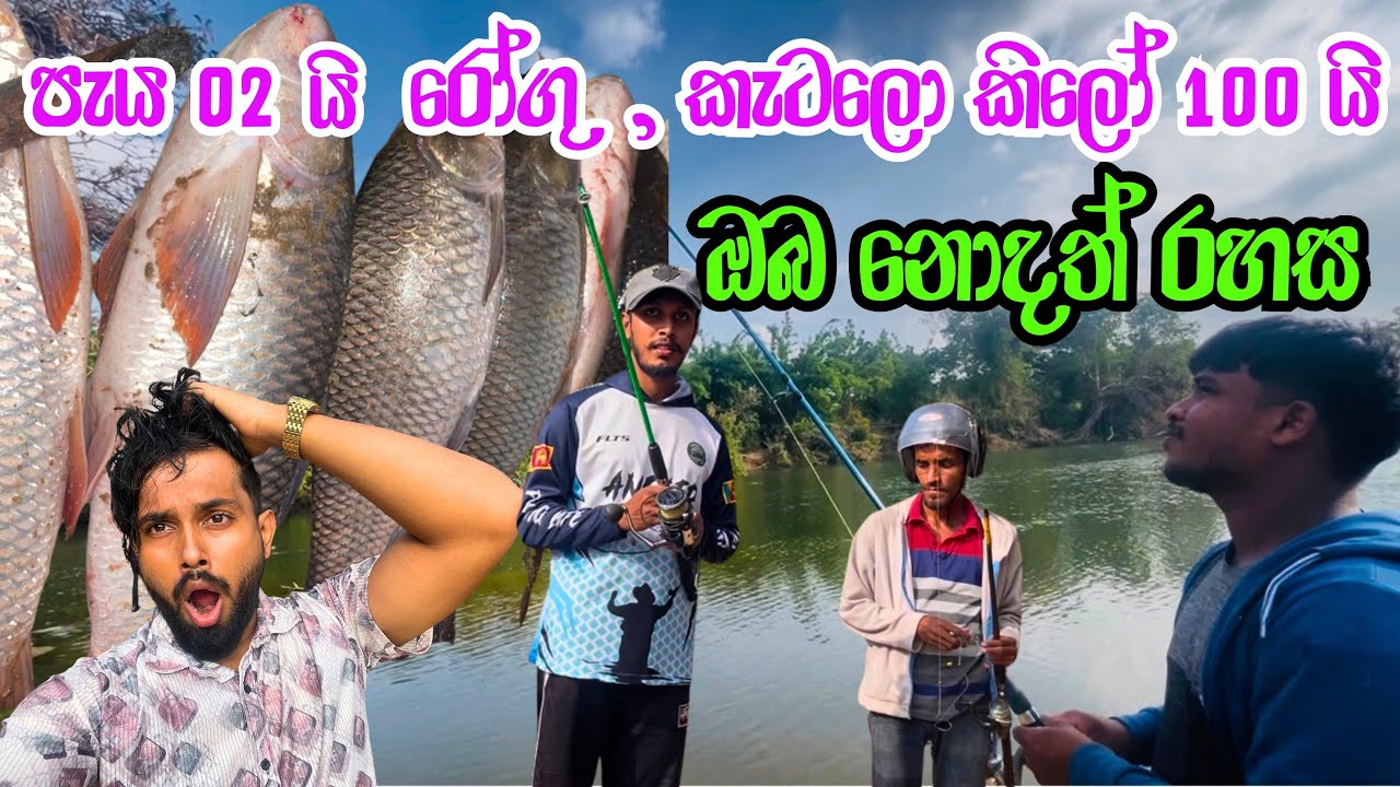 කට්ට කළුවරේ කැටලො , රෝගු දඩයම 🎣🐠 | Night Fishing Adventure with Friends 🌖🌛