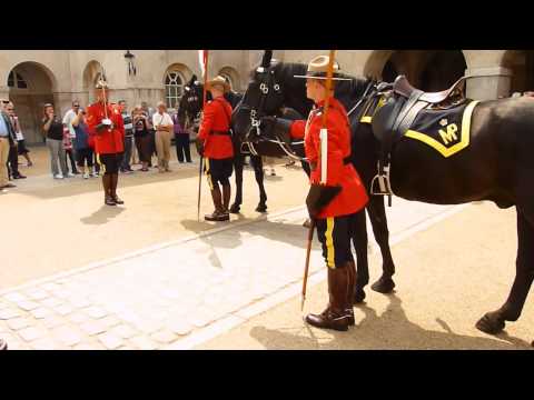 Video: Welches Tier steht auf dem RCMP-Abzeichen?