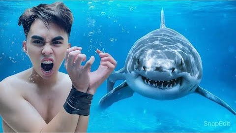 Thoát Khỏi Bể Bơi Cá Mập Sẽ Được 50 Triệu - Nguyễn Chí Thanh.