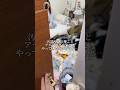 汚部屋界の神ことアデハデさんの家にお邪魔してキノコと業務用ラムネ布教してきた。#異変 #ルームツアー　#コラボ　#ましゅー #shorts