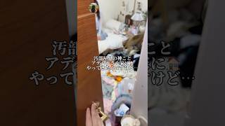 汚部屋界の神ことアデハデさんの家にお邪魔してキノコと業務用ラムネ布教してきた。#異変 #ルームツアー　#コラボ　#ましゅー #shorts