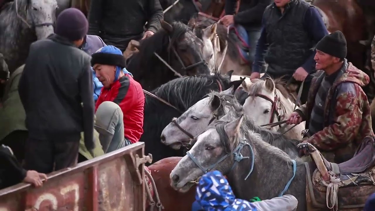 АЛАМАН УЛАК АЛАЙ.КАБЫЛАН-КӨЛ