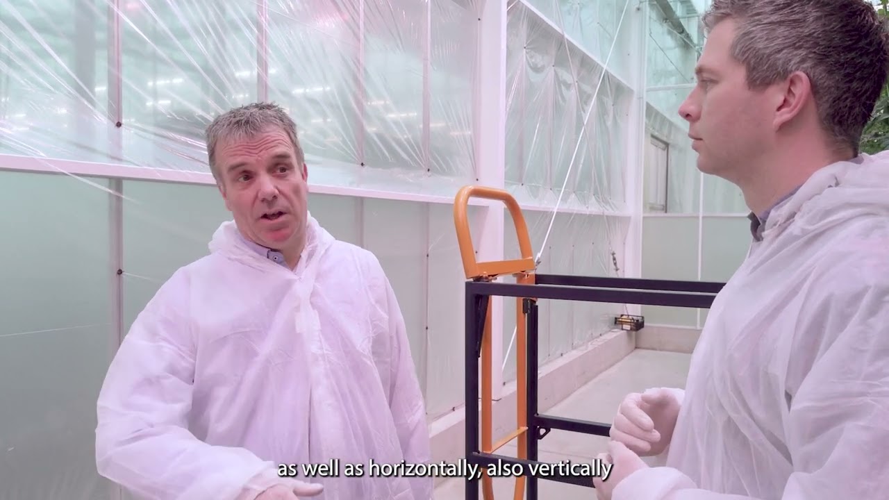 How Wireless Value contributes to 40% less heat input on year-round tomato production